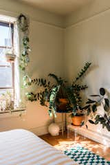 The south-facing apartment gets light all day, allowing for plenty of plants in every room. "It's really bright, which is very necessary for me,