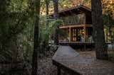The cabin]s elevated entrance path winds between existing trees.