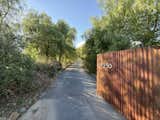 Driveway Entrance - 2024