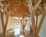 Interlocking Trees Support the Roof of This South Korean Home - Photo 6 of 11 - 