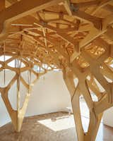 Interlocking Trees Support the Roof of This South Korean Home - Photo 7 of 11 - 