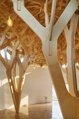 Interlocking Trees Support the Roof of This South Korean Home - Photo 8 of 11 - 