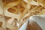 Interlocking Trees Support the Roof of This South Korean Home - Photo 9 of 11 - 