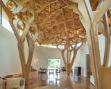 Interlocking Trees Support the Roof of This South Korean Home