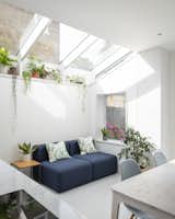 A skylight lets natural light into the extension, and  white gloss mosaic tiles on the back of the plant shelf and the column reflect light directly into the space.