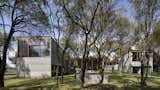 Native Trees Punch Through the Roof of This Concrete Home in Argentina