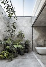 The bathroom has been entirely clad in large Fior di Bosco marble panels, creating a simple backdrop for the arrangement of plants overlooked by the tub. 