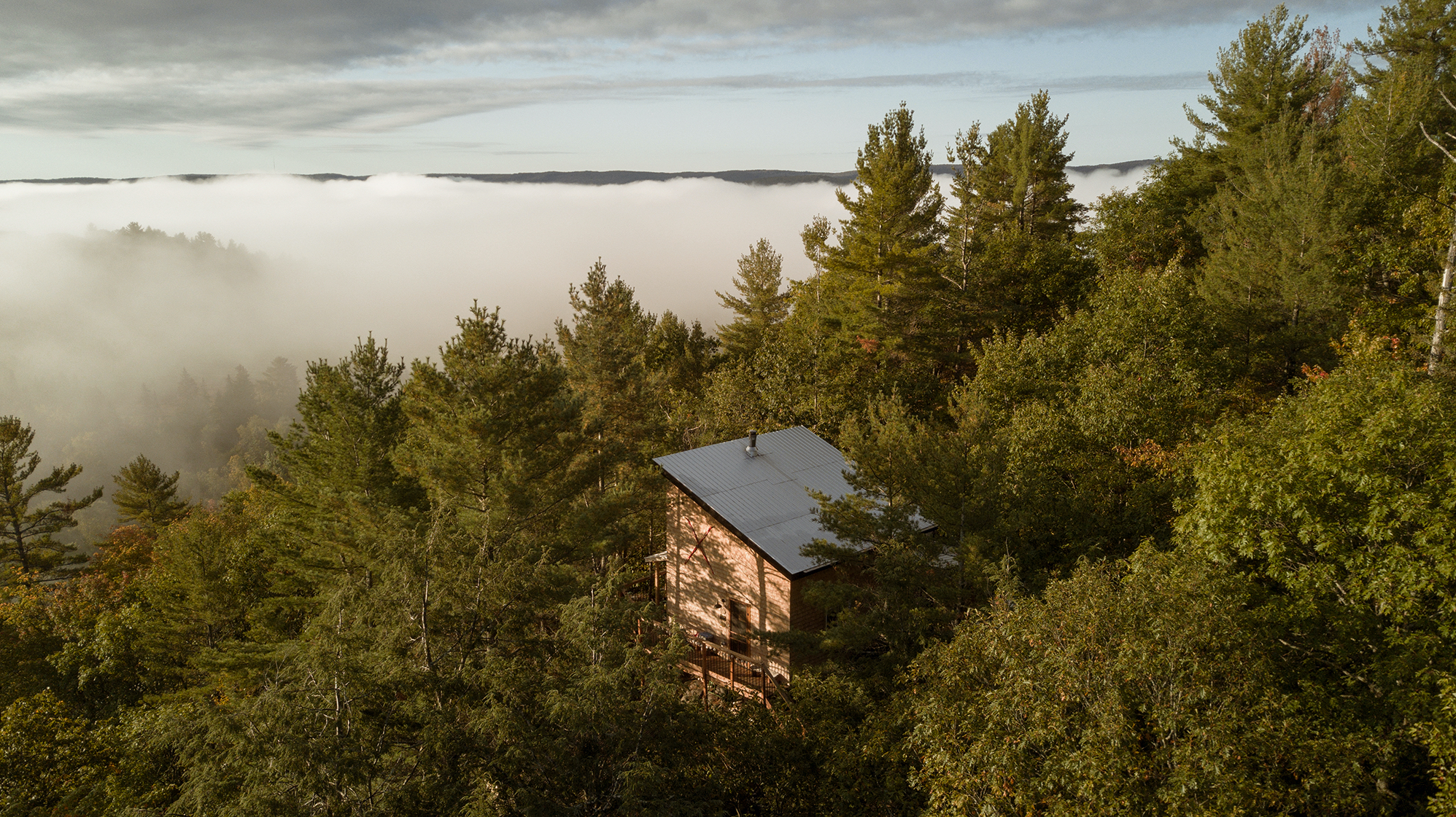 Photo 1 Of 19 In A Filmmaker Builds A Rustic Off Grid Cabin Deep In A   Original 