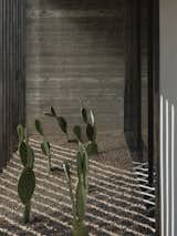 A cactus garden planted in between the glazed wall in front of the stair and the brise-soleil connects the home to the landscape.