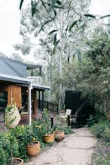 The garden path, lined with potted citrus and towering eucalyptus trees, leads from the carport to the deck and front door.