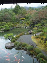 The Tairyu-Sanso garden in Kyoto, Japan, was designed in by pioneering Japanese garden architect Ogawa Jihei VII,&nbsp;who also laid out the idyllic&nbsp;Heian-jingū&nbsp;and Murin-an gardens. "Here, Ogawa incorporates the distant view of Mount Higashiyama," says garden designer Sophie Walker, author of&nbsp;The Japanese Garden (Phaidon, 2017). "With the carefully composed natural scenes framed by windows and sloping roofs, you would never know that this private property is surrounded by the modern city of Kyoto."&nbsp;