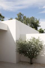 A Dreamy, Minimalist Retreat in Spain Opens to Its Lush Surroundings - Photo 8 of 25 - 
