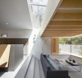 Birch ply is available in two sheet sizes, and the 3050mm sheet size was used to set the size of the roof and, in turn, this dictated the width of the roof light. The 18mm x 250mm deep joists are set at precise 397mm centres, creating an unusually slender section.