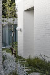A Melbourne Bungalow’s Courtyard Extension Creates a Window to the Sky - Photo 7 of 20 - 