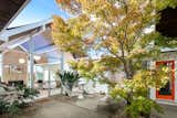 The entry leads to a landscaped atrium that, along with the backyard, ensures every room in the home has direct access to the outdoors.  Photo 4 of 14 in This Pristine Eichler in Oakland, California, Just Fetched $2.2 Million