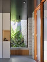 A Brisbane Architect Designs Her Family’s Dream Home on a Tricky Suburban Site - Photo 6 of 20 - 