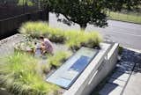 Outdoor, Front Yard, Grass, Hardscapes, Trees, Concrete, and Shrubs  Outdoor Shrubs Trees Photos from An Architect Builds a Bunker-Esque Workspace That’s Designed for Future Updates