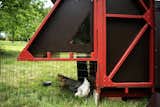 This $8,700 Shed Is a Swiss Army Knife for Your Garden - Photo 10 of 17 - 