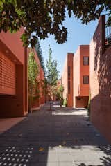  Photo 3 of 16 in 13 Homes in Pinkish Orange Concrete Add a Splash of Color to Mexico City