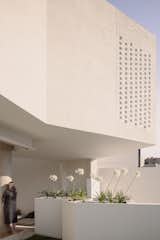 There are many things the clients, Antonio and Estella, love about the home. “The design, the green everywhere, how comfortable it is,” shares Antonio. “It has exceeded my expectations because, in spite of it standing on a not-so-large plot, the house feels quite large, almost like there are three houses instead of one.”