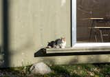 The window ledge is actually a fire step for egress from upper storeys. Here, it makes the perfect perch for the family cat.