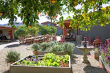 The Lodge’s vegetable garden and citrus trees sit between raised beds and a communal outdoor dining area with the original rustic stone-and-timber buildings behind.