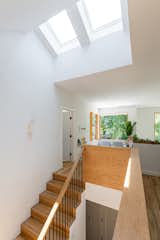 Stair & Skylights