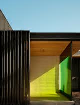 Forest House