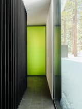 Forest House