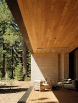 Forest House