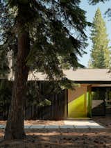 Forest House