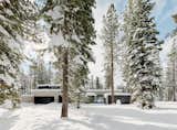 Forest House