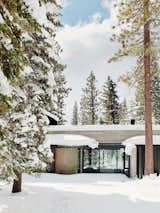 Forest House