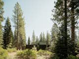Forest House