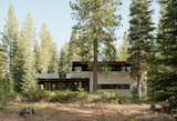 Forest House  Photo 14 of 17 in Forest House by Faulkner Architects