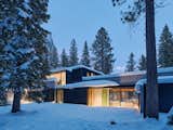 Forest House