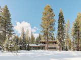 Forest House