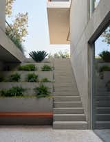 The folding greenery of the garden works its way subtly into the footprint of the living space