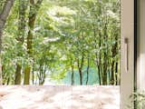 Interior/ Exterior, lake view
