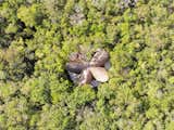 Set in a conserved area of Jungle inside the Luum Zama Masterplan 