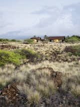 Makani Eka