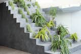 The steps can be easily accessed from the first floor, where the client’s mother keeps potted plants. 