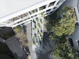 Stairway House by Nendo staircase, Garden, Japanese architecture, biophilic architecture, white box architecture, minimalist