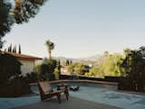 Outdoor, Raised Planters, Back Yard, Trees, Walkways, and Hardscapes  Photo 9 of 20 in Vintage Furnishings Flesh Out an L.A. Midcentury Redesigned With Flowing Spaces