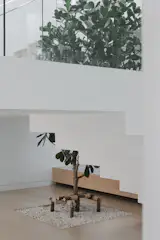 The planter and tree is seen upon entry through the main door through an open staircase design and glass balustrades. 