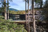 Exterior, House Building Type, Glass Siding Material, Wood Siding Material, Flat RoofLine, and Metal Roof Material View through the trees  Photo 1 of 10 in Vertes Retreat by W  O  V  E  N   Architecture and Design