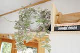 Cedar trim, clear-coated and white washed and clear-coated plywood, and a duck.