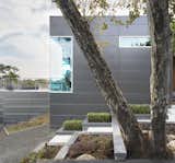Side Yard