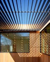 The custom steel trellis fabricated by Curate Homes and Argonaut Doors mediates solar heat gain inside, and activates the courtyard space outside with changing shadow patterns.