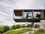 A House in the vineyards glass-and-steel facade